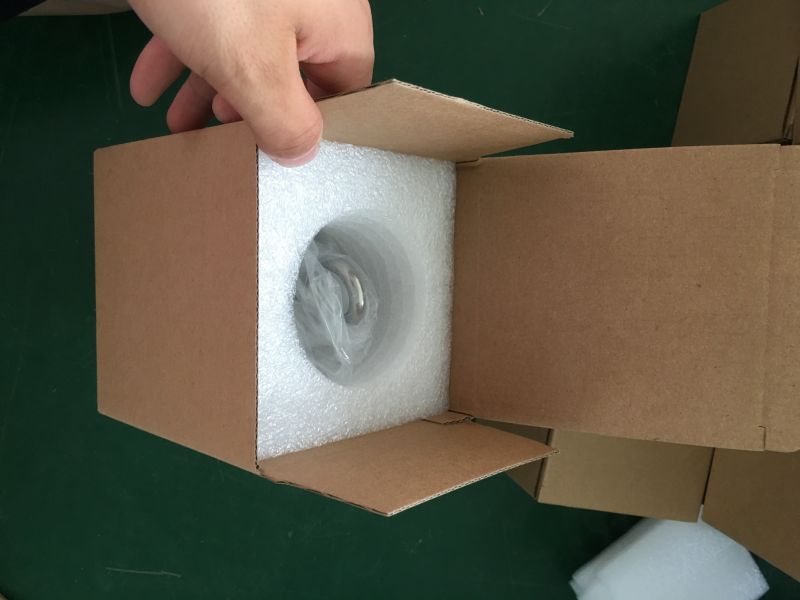 Haoqi Double Side Ring Neodymium Fishing Magnet with Eyebolt
