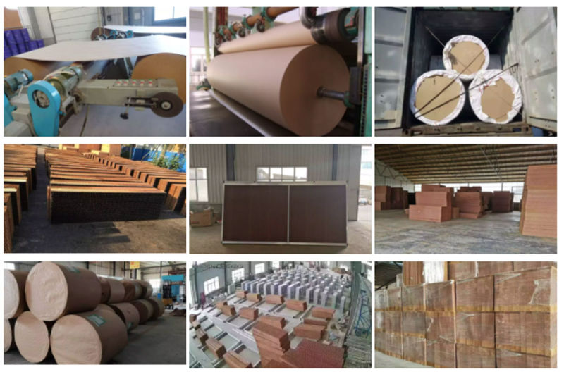 Greenhouse Evaporative Cooling Cellulose Pad Made of Kraft Paper