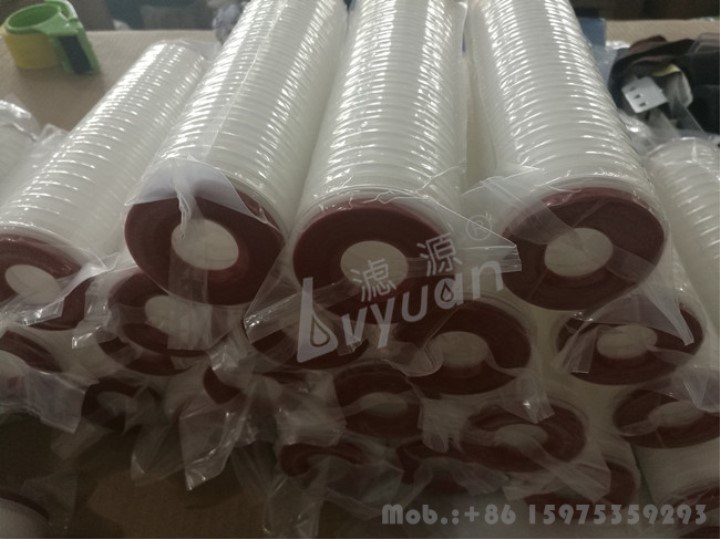 10 Inch PP/Pes/PTFE/Nylon/PVDF Pleated Cartridge Filter with 0.1/0.22 Micron Membrane