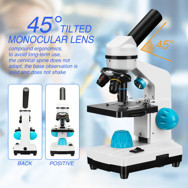 100-2000X Magnification Student Scientific Experiment Biological Microscope