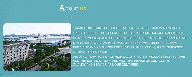 Good Price Filter for Carbon Honeycomb Filter Medium Efficiency Paper Frame