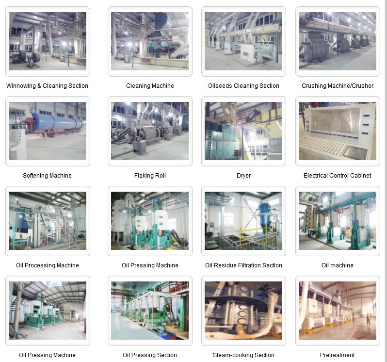 Cooking Oil Production Line for Oil Crushing Factory, Oil Mill
