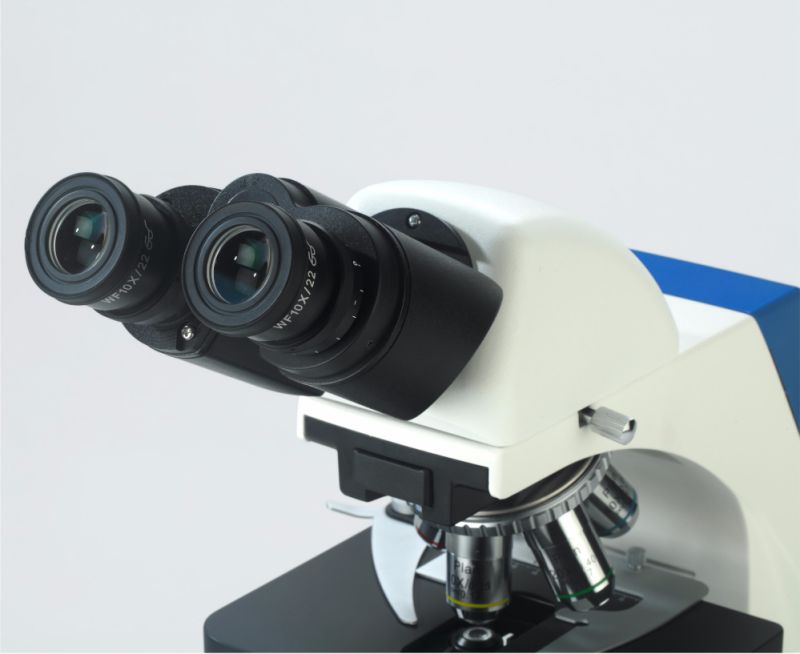 Binocular Compound Microscope for Scientific Research for Sale