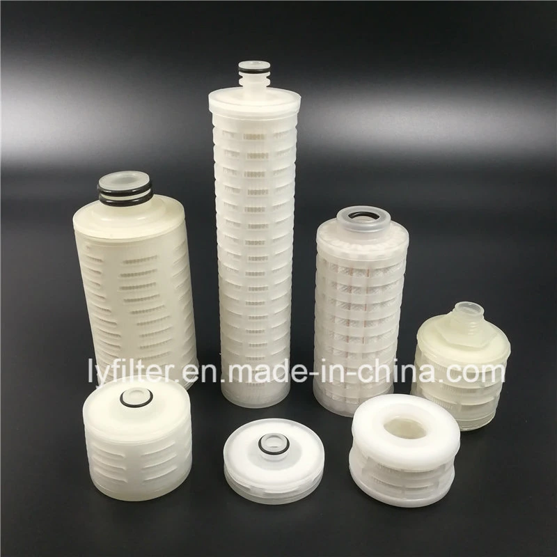 10 Inch 0.22 Micro Micron Membrane Pleated PTFE Filter Cartridge for Sterile Air Vent Filtration