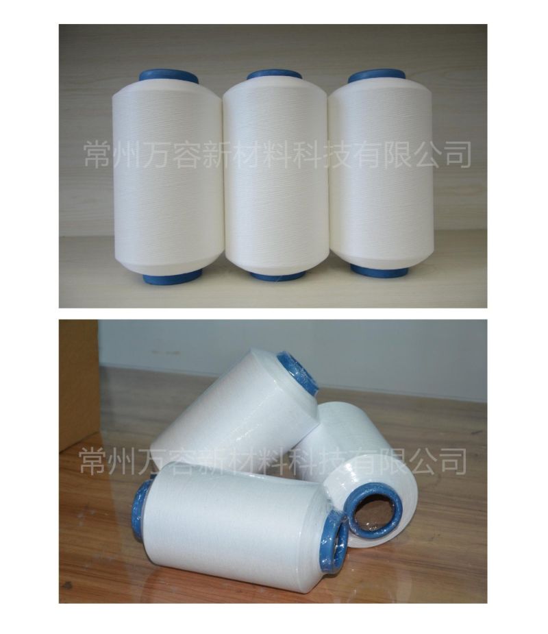 China Supplier High Temperature-Resistant for Filter Bag PTFE Sewing Thread