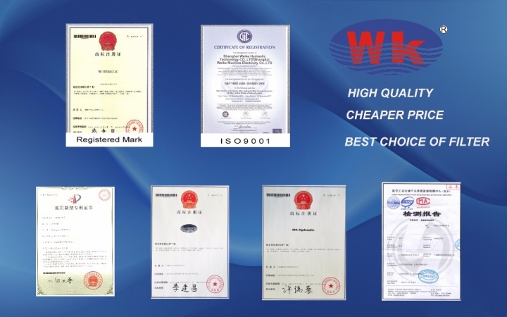 3 Micron Filter Cartridge/Industrial Filter/Glass Fiber Filter/Spare Parts/Filter Element (WKD660G03A)