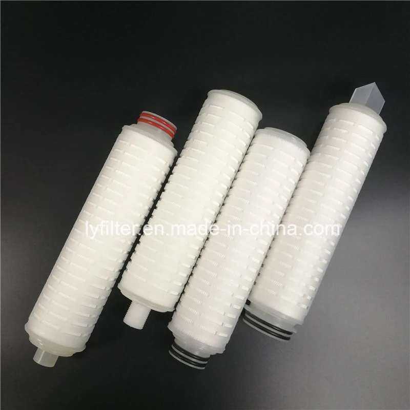 10 Inch 0.22 Micro Micron Membrane Pleated PTFE Filter Cartridge for Sterile Air Vent Filtration