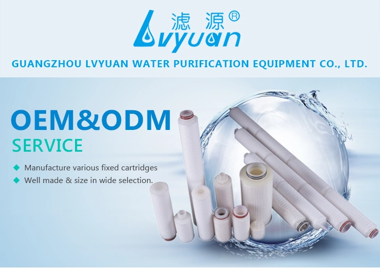 Manufacture Hydrophilic 0.45 Micron Milli-Pore Pes Membrane Pleated Filter Cartridge for Water Sterile Filtration