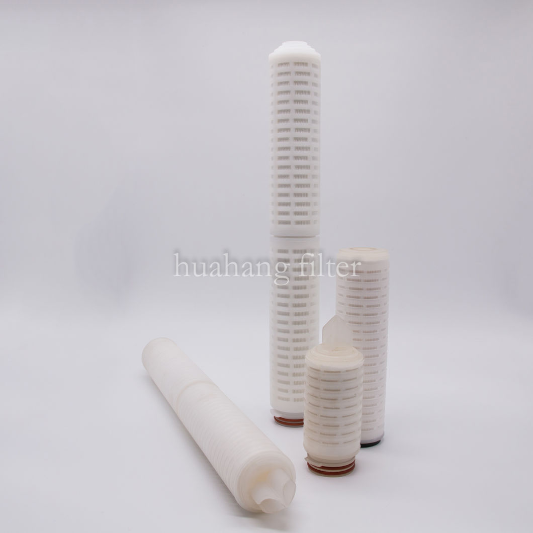 Pharmaceutical grade PES pleated Filter/0.2 micron water filter