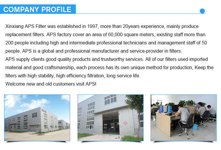 (A11516974) Air Filter Element Made by Aps Filter Factory in China