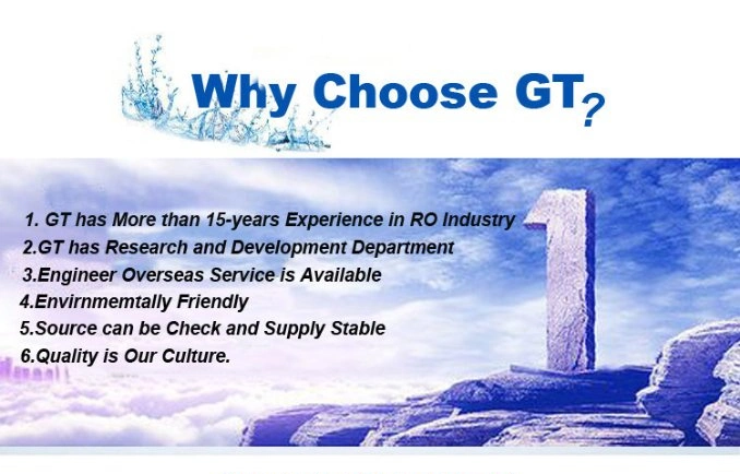 75 Gpd 80 Gpd RO Membrane Plant Reverse Osmosis Water Filter Manufacturer