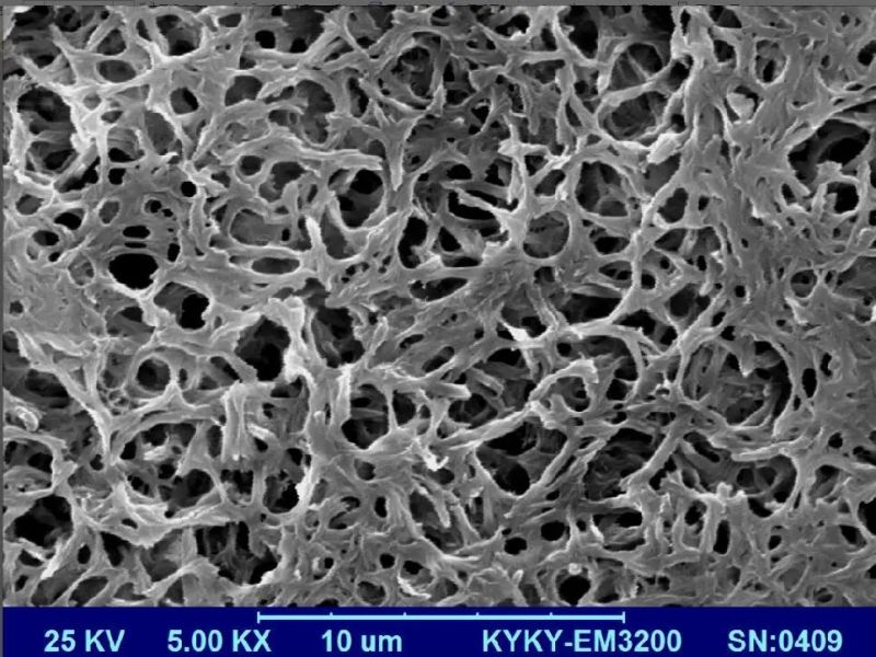 Hydrophilic 0.45 Micron Membrane Nylon Filter Paper for Syringe Filter