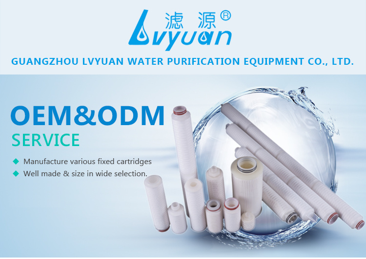 Te-Flon Hydrophobic PTFE Filter Cartridge for Compressed Air Purification System