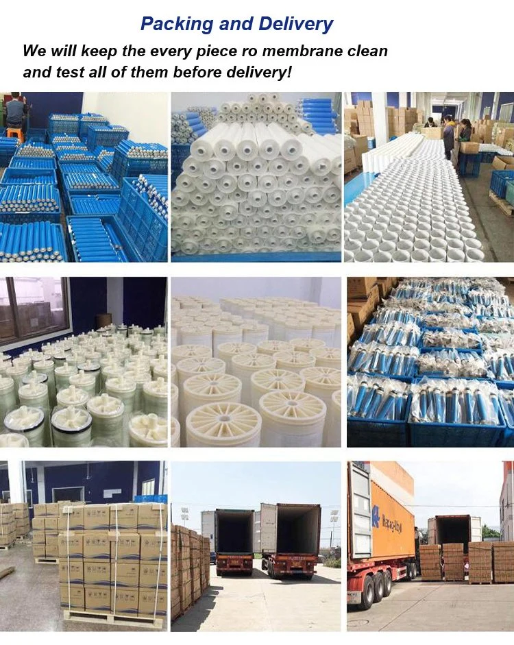 Industrial 4021 Water Filter RO Membrane Manufacturer for Water Treatment