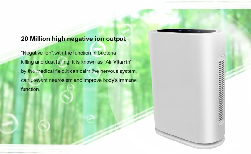 Best HEPA Air Cleaner Ozone Sterilization Negative Ion Air Purifier