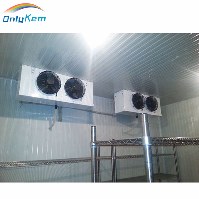 Big/Large/Huge Cold Room Warehouse with Steel Construction