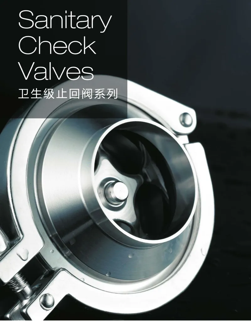 Standard Sanitary Stainless Steel Sanitary Non-Return Flange Check Valve