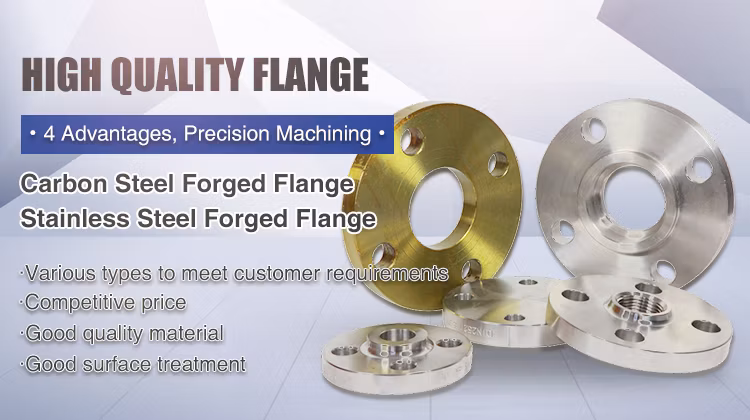 DIN Standard Forged Steel Flange for Oil/Gas Industry Flange