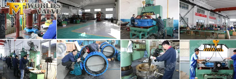 Industrial Use Wafer Type Butterfly Valve Pn 10 Pn 16