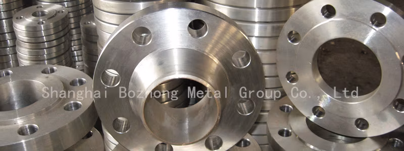 2507 Flange/ Alloy 2507 Flange /S32750 Flange /1.4507 Flange