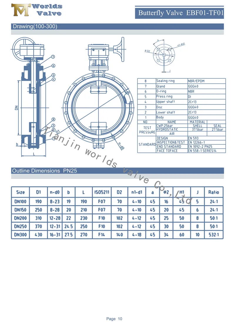 En558-1 13/14 Ductile Iron Double Offset Flanged Butterfly Valve with Rubber Sealing