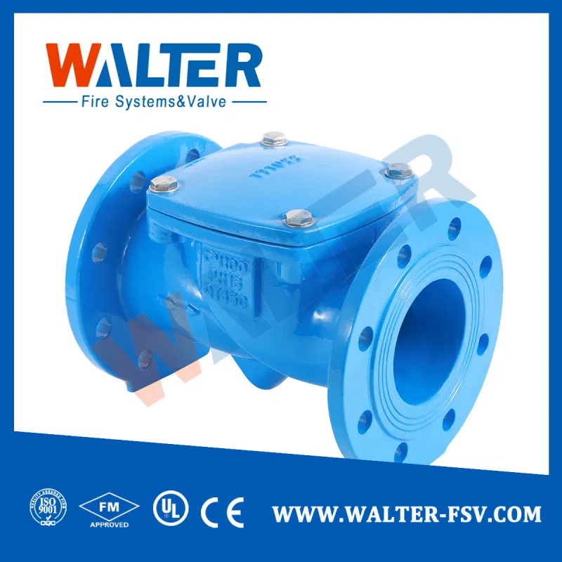 Cast Iron Flange Check Valve