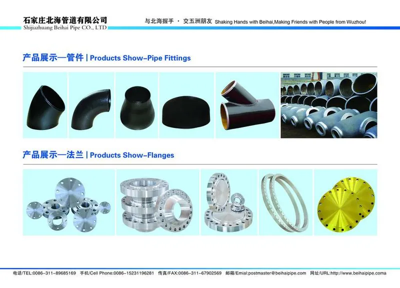 ASTM A105 Cl900 Carbon Steel Blind Flange /So Flange/Wn Flange