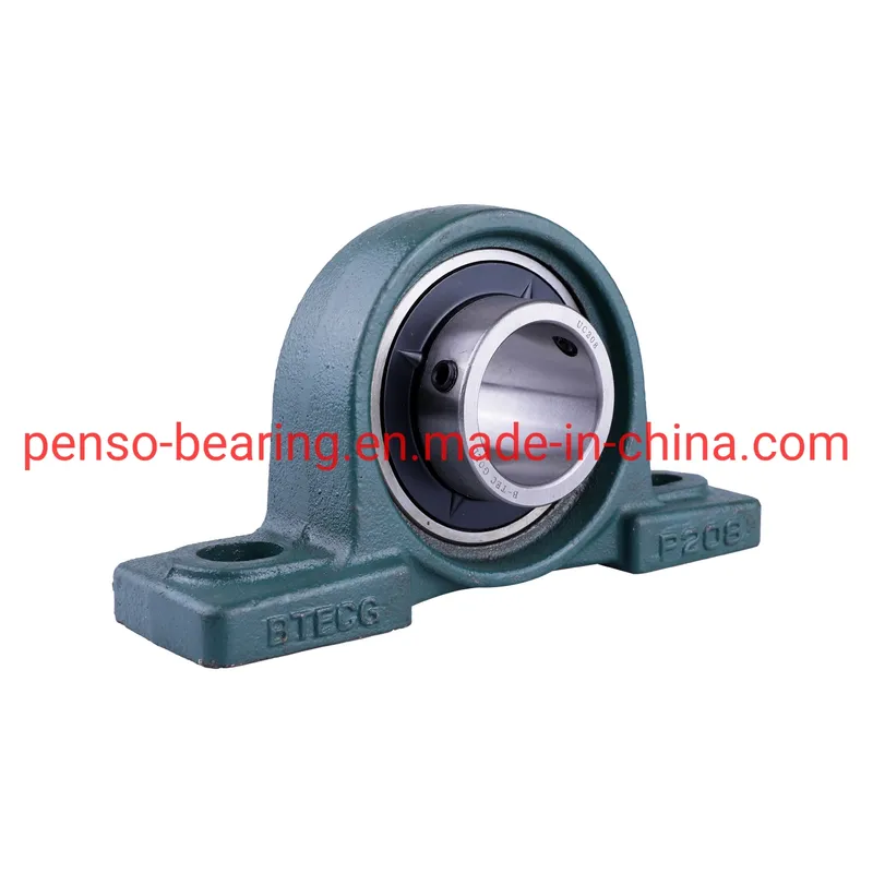 Chrome Steel Pillow Block Bearing with Cast Iron Flange UCP207