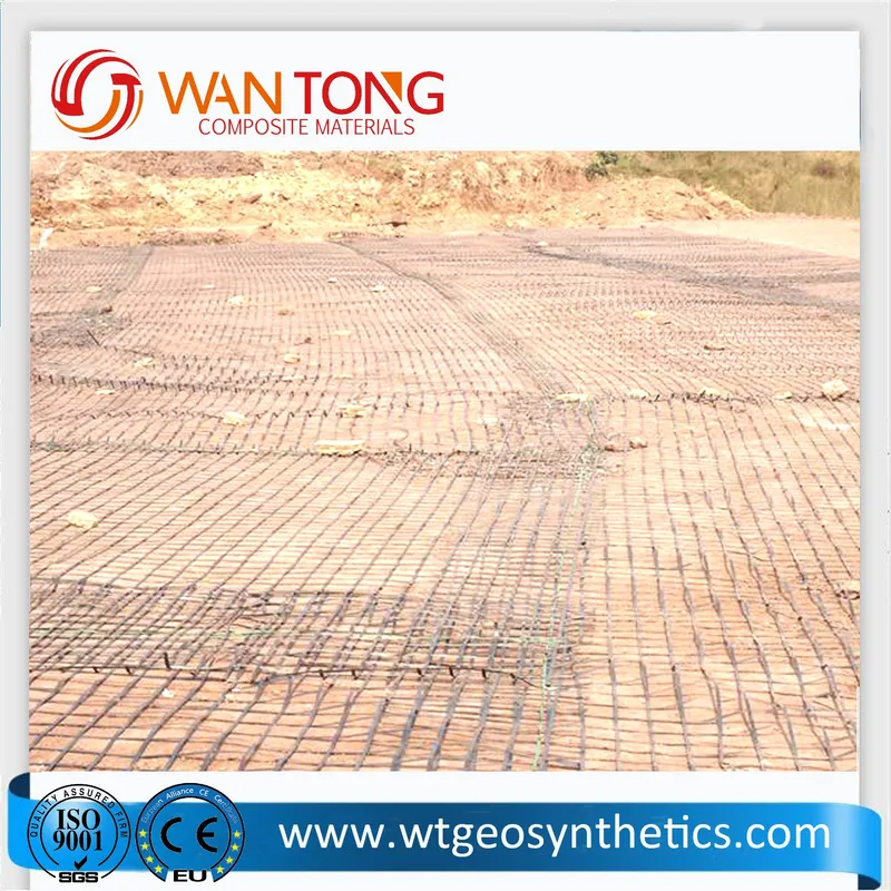 80kn-80kn/Hill Reinforcement/Slope Reinforcement Polyester Geogrid