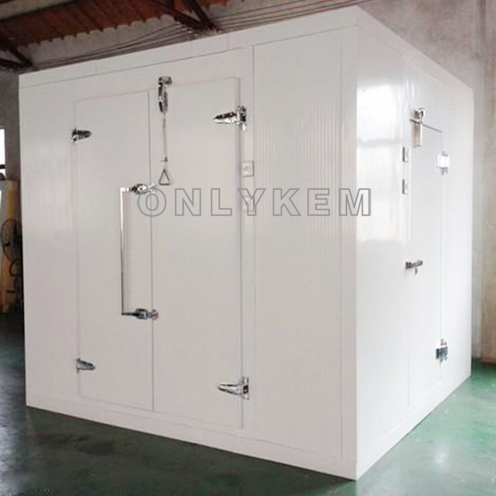 Customized Cold Storage with PU Panels with Sliding Doors