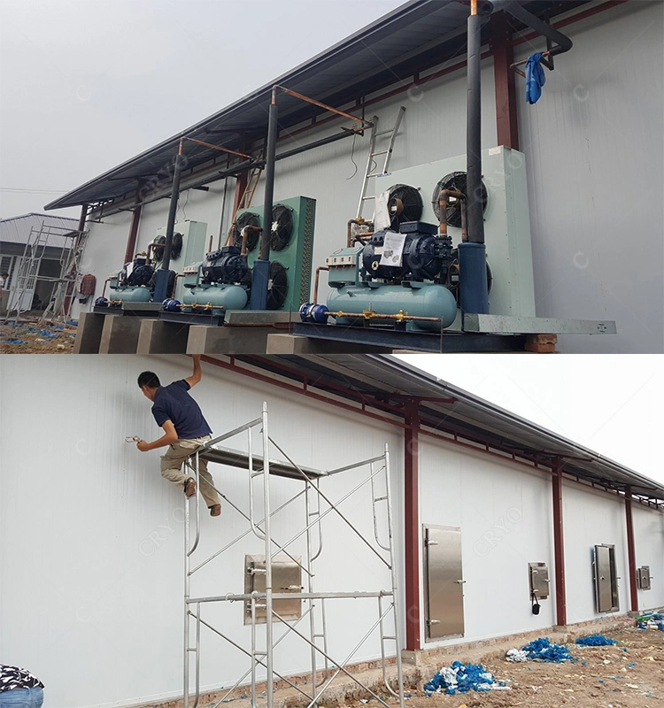 Blue Crab Tuna Indonesia Potato Cold Storage Cold Storage Room Insulation Panel Cold Room
