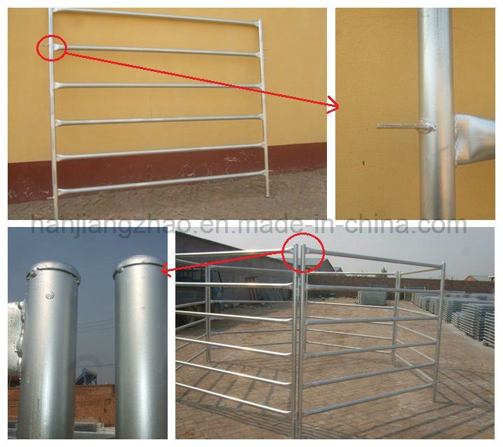 42 mm Pipe 1.8 M * 2.1 M Cattle Yard Panels for Sale (XMR90)