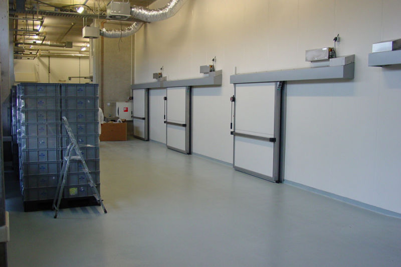 High Density Insulation Cold Room Sandwich Panels Supplier