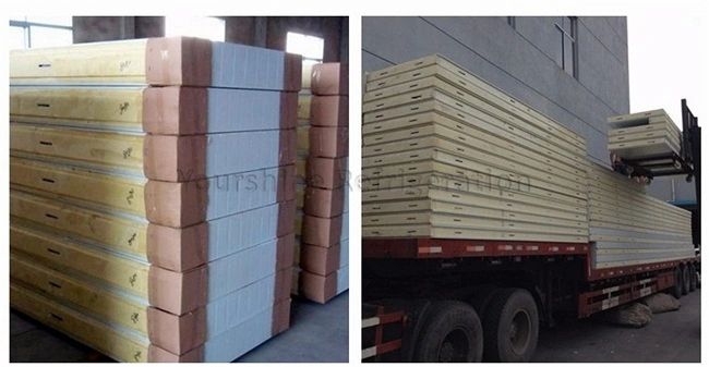 PU Sandwich Panels Polyurethane Sandwich Panels for Cold Room