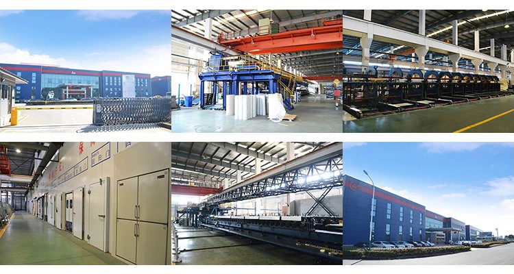 Cold Room Vegetable Cold Storage Room for Fruit Cold Storage Room Freezer Room