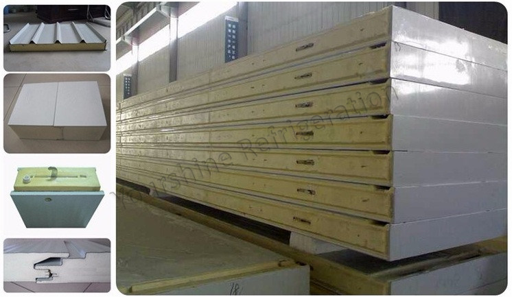 Assembly Modular Cold Storage 100mm Polyurethane Sandwich Roof Panel