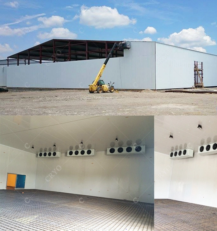 Frozen Chicken Malaysia Gelato Cool Room Panels Sale Walk in Freezer Residential Cold Room Equipment