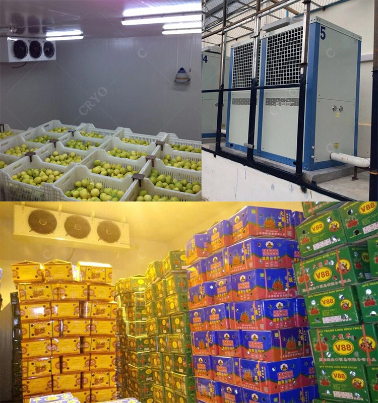 Indoor Fish Farm Fish Salmon Making a Cold Room Cleveland Cold Storage Small Cold Store