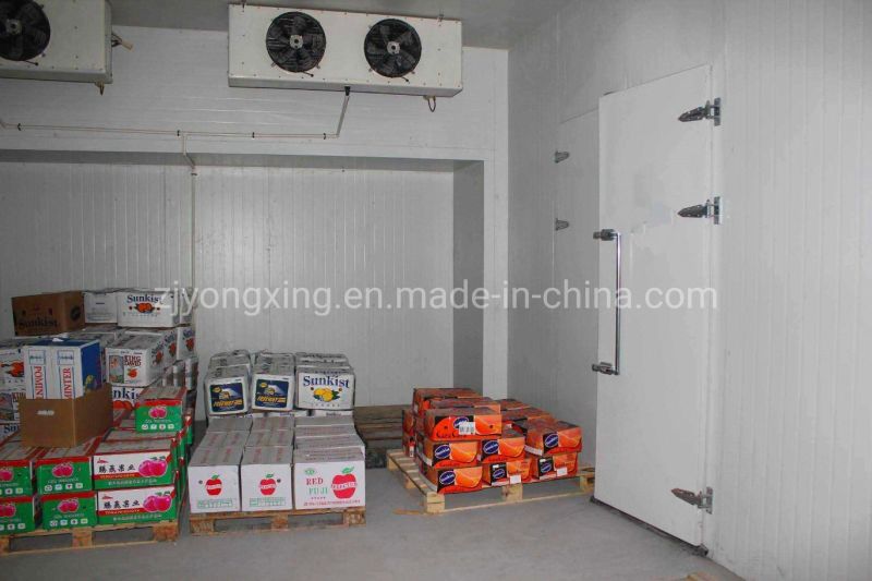 China Direct Supplier Fish/Shrimp Cold Storage Freezer/Cold Room