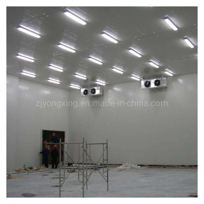 Thermal Insulation EPS/Puf/PIR Sandwich Panel/Styrofoam Sandwich Panel for Freezer Cooler Room