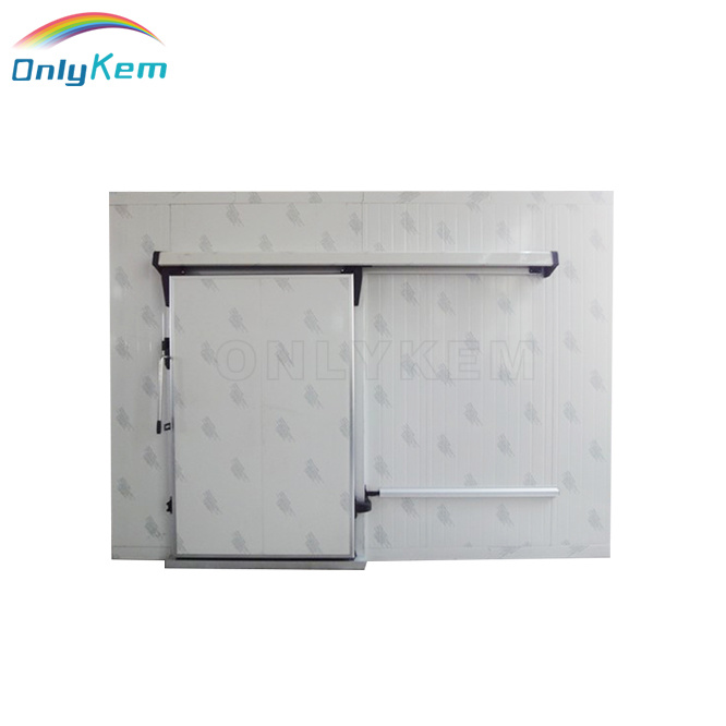 Stainless Steel Panels Sliding&Hinged Door for Cold Room