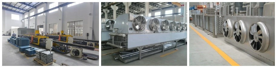 Factory Price Tunnel Blast Freezer IQF Tunnel Instant Freezer Industrial Freezer for Fish Shrimp Seafood