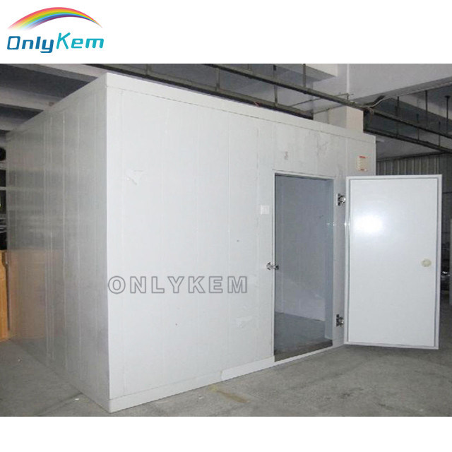 Quick Installed Polyurethane Panel Cold Storage Room