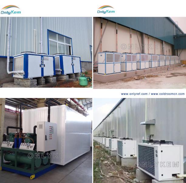Cold Storage Room with Sandwich Panel for Frozen Meats