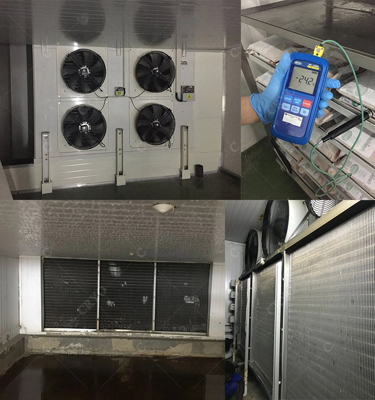Coolroom Panels Cool Storage Room Cool Room Freezer Commercial Walk in Cooler Freezer Combo