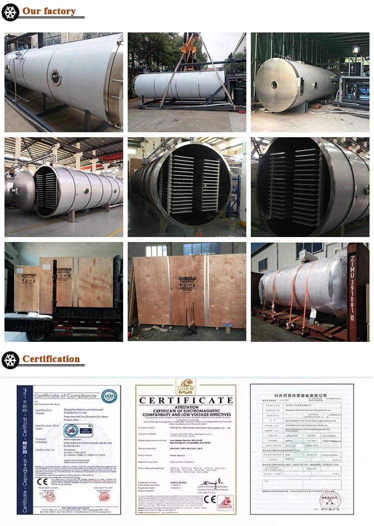 Freeze Dried Camel Milk Powder Lyophilizer Freeze Dryer Equipment