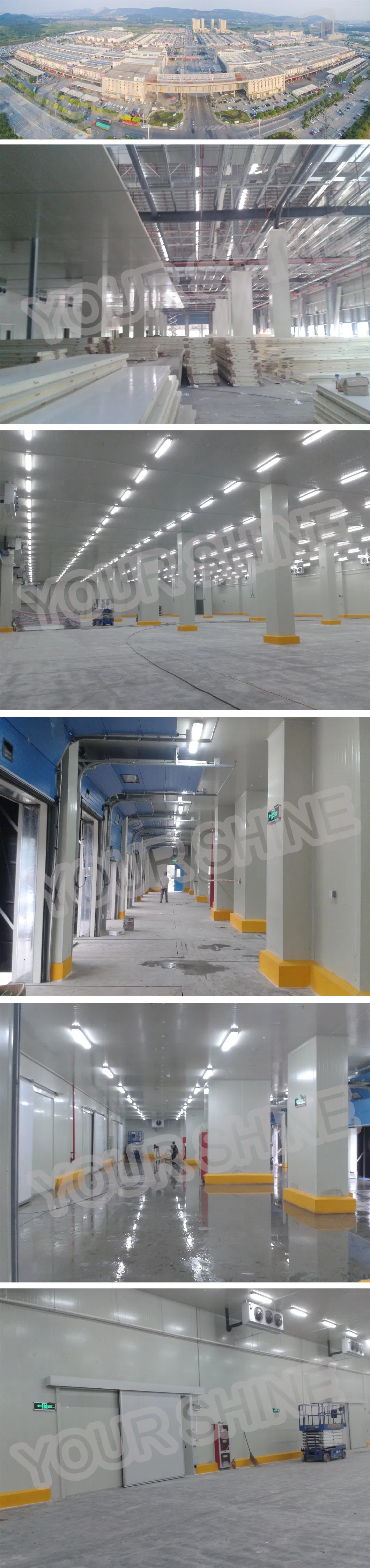 Cold Storage Room Design Systems Chiller and Freezer with Insulation Panels
