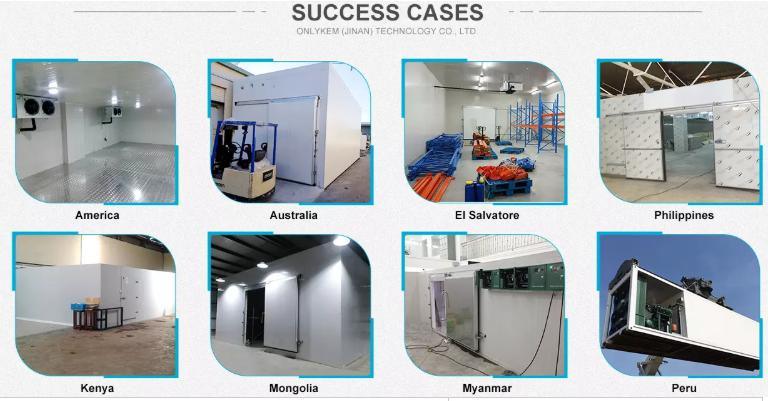 Industrial Cold Storage Room with Polyurethane Insulated Panel