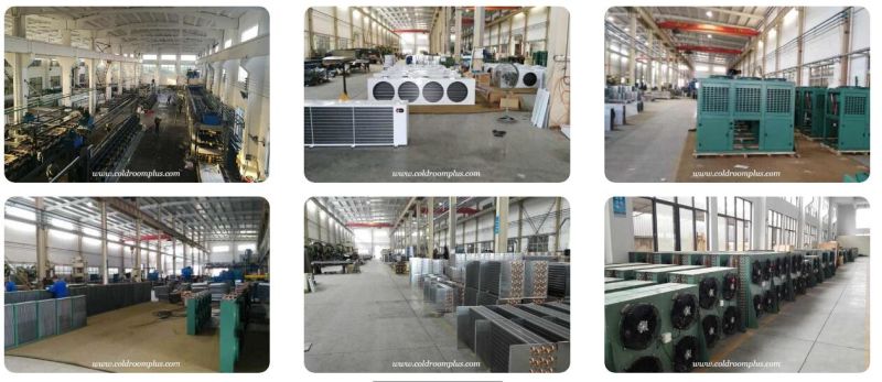 Professional Cold Room/Cold Storage/Walk-in Freezer/Cooling Room
