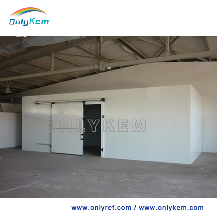 Walk in Cooler Freezer Room for Meat with Sandwich Panel
